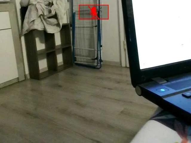 Bonnie-Clyde1 on BongaCams