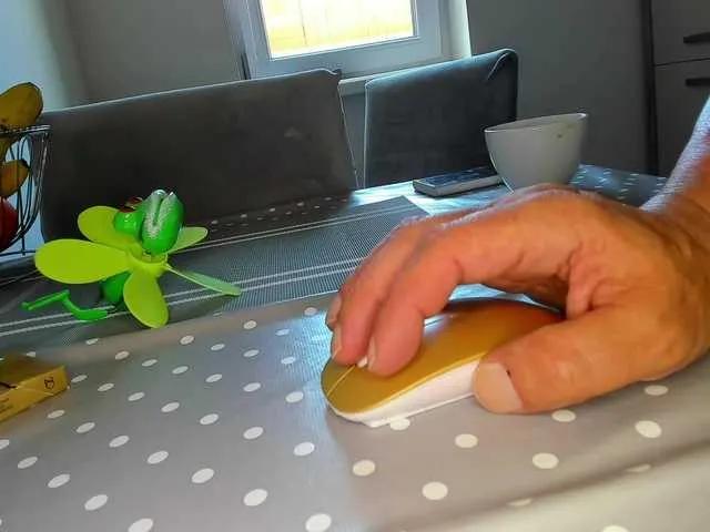 Offline cuplu29 on BongaCams