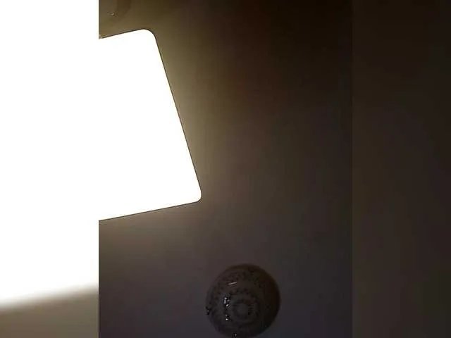 leilamendez on BongaCams 