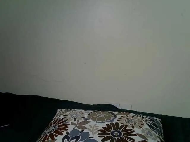 Offline PetiteBunnny on BongaCams