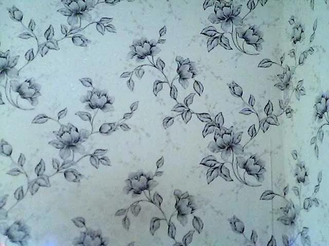 Offline Ruby-Lorrie on BongaCams