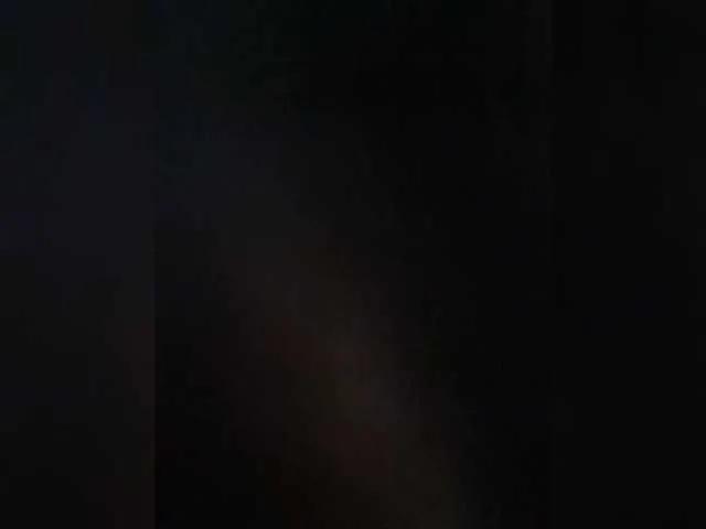 TaraRid on BongaCams 