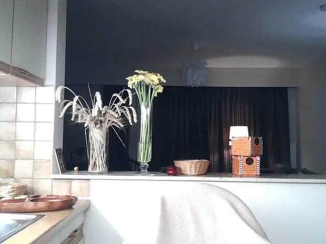 Offline UllimOhi on BongaCams