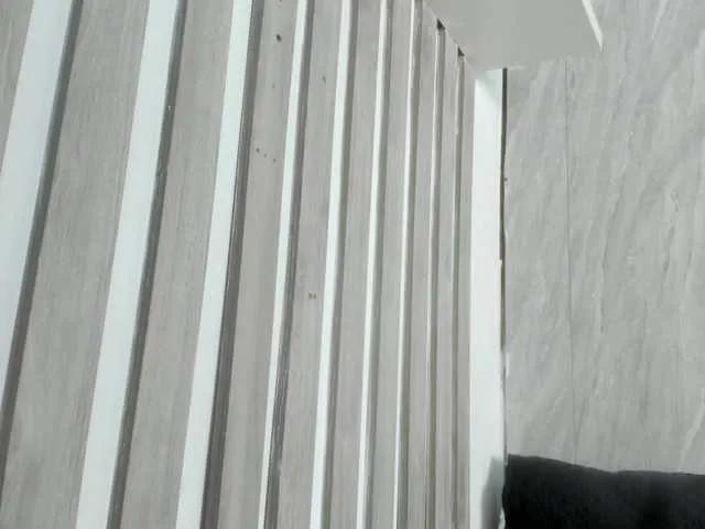 Offline wandalover on BongaCams