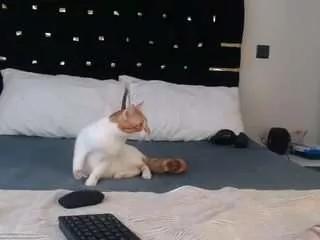 Offline dominantebony on CamSoda