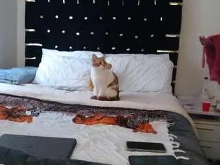 Offline dominantebony on CamSoda