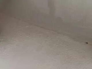 Away joselina-angels1 on CamSoda