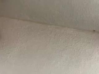 Away joselina-angels1 on CamSoda