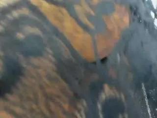 Offline moxa-hot on CamSoda