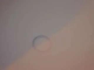 Offline nina-rose on CamSoda