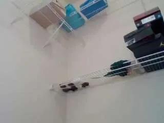 Offline paisleehaze on CamSoda