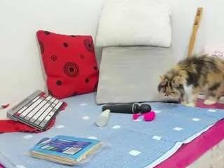 Offline sexywetwild on CamSoda