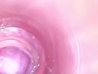 Freechat shannon-kane on CamSoda