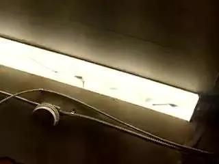 Freechat virgovixengal on CamSoda