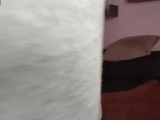 lazar_angel on Flirt4Free 