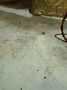 StripChat 69_Pose_Sex is Freechat 69_Pose_Sex — Nude Fuck Show 10 Minit