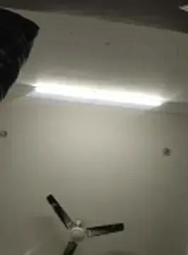 Anchal-8798's avatar