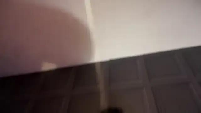 curvybabesx1's avatar